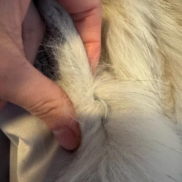 100% Fox Fur Coat - Picture 10 of 10